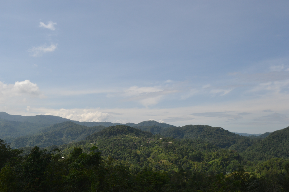 landscape Hutan adat Kasepuhan Karang