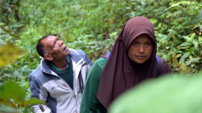Sumini, Ketua Lembaga Pelindung Hutan MpU Uteun dalam sebuah patroli hutan bersama rekan ranger pria_BBC