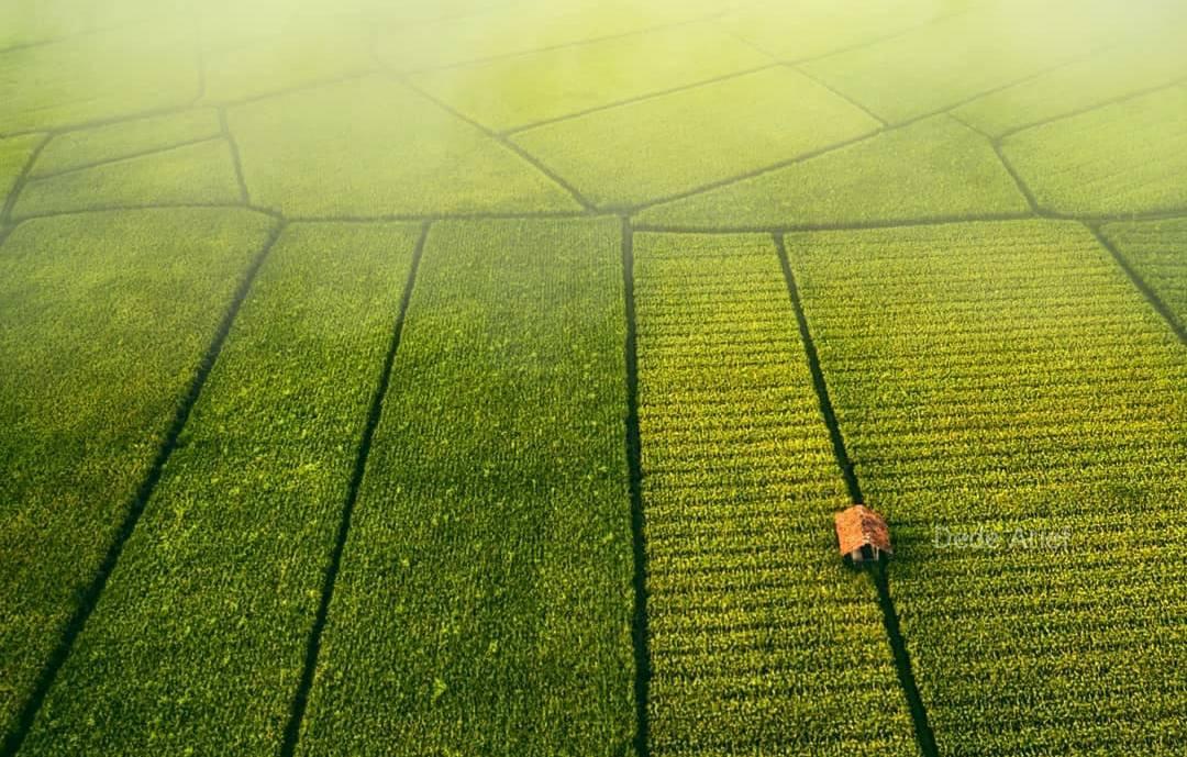 Model Pengelolaan Ruang Partisipatif dalam Upaya Perlindungan Lahan Pangan